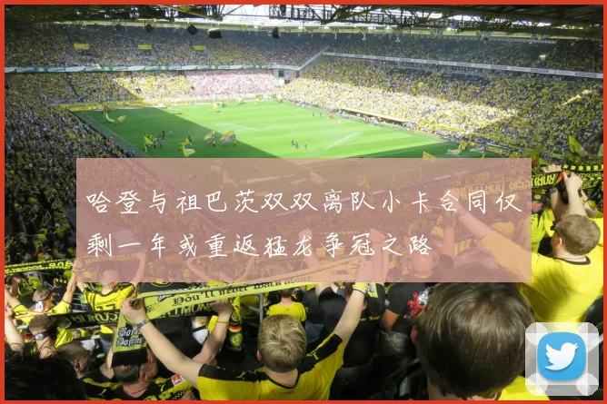 哈登与祖巴茨双双离队小卡合同仅剩一年或重返猛龙争冠之路